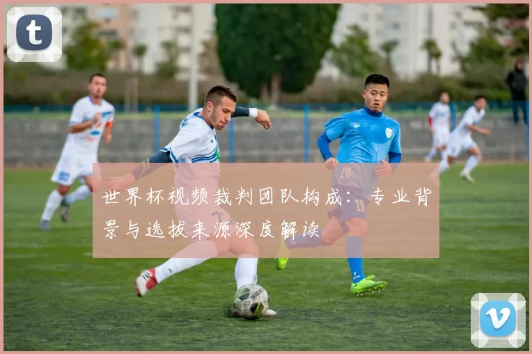世界杯视频裁判团队构成：专业背景与选拔来源深度解读