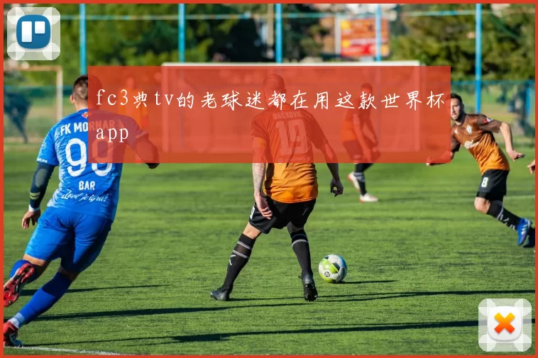 fc3典tv的老球迷都在用这款世界杯app