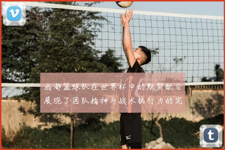 成都篮球队在世界杯中的默契配合展现了团队精神与战术执行力的完美结合