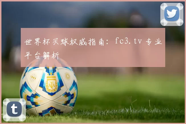 世界杯买球权威指南：fc3.tv 专业平台解析