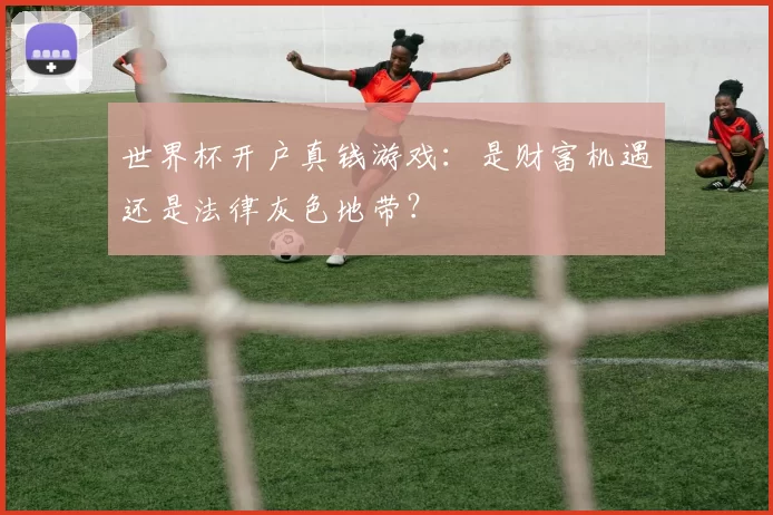 世界杯开户真钱游戏：是财富机遇还是法律灰色地带？