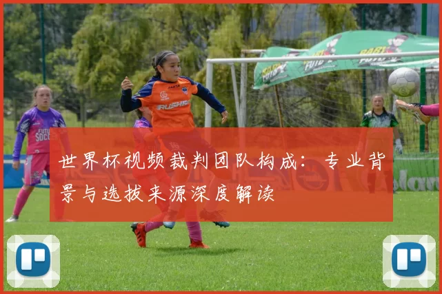 世界杯视频裁判团队构成：专业背景与选拔来源深度解读