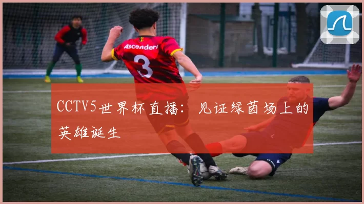 CCTV5世界杯直播:见证绿茵场上的英雄诞生