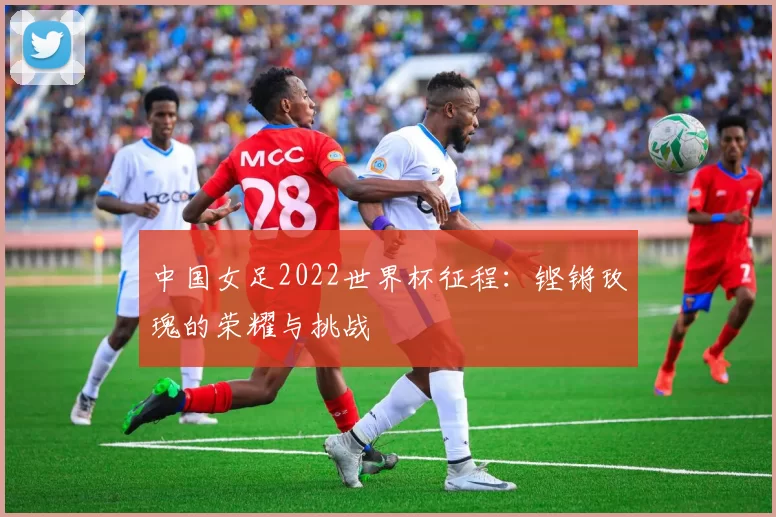 中国女足2022世界杯征程：铿锵玫瑰的荣耀与挑战