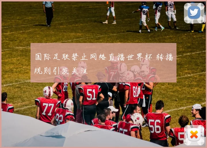 国际足联禁止网络直播世界杯 转播规则引发关注