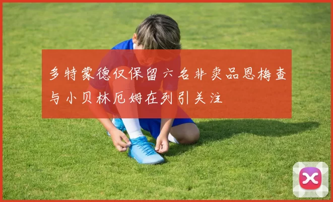 多特蒙德仅保留六名非卖品恩梅查与小贝林厄姆在列引关注