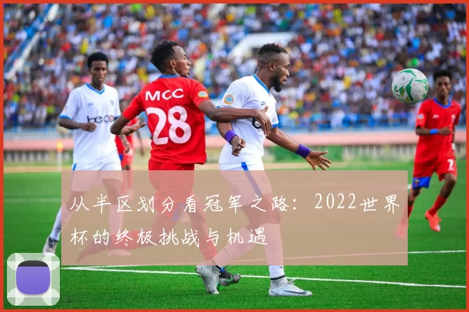从半区划分看冠军之路:2022世界杯的终极挑战与机遇