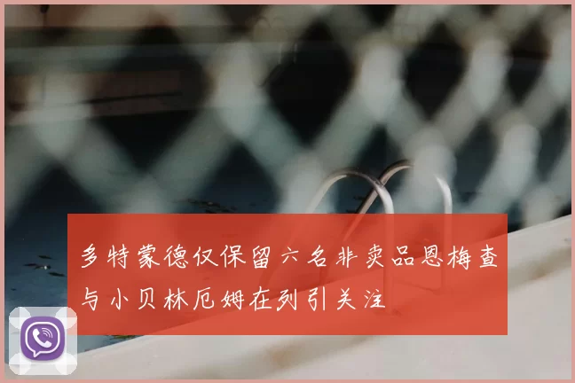 多特蒙德仅保留六名非卖品恩梅查与小贝林厄姆在列引关注